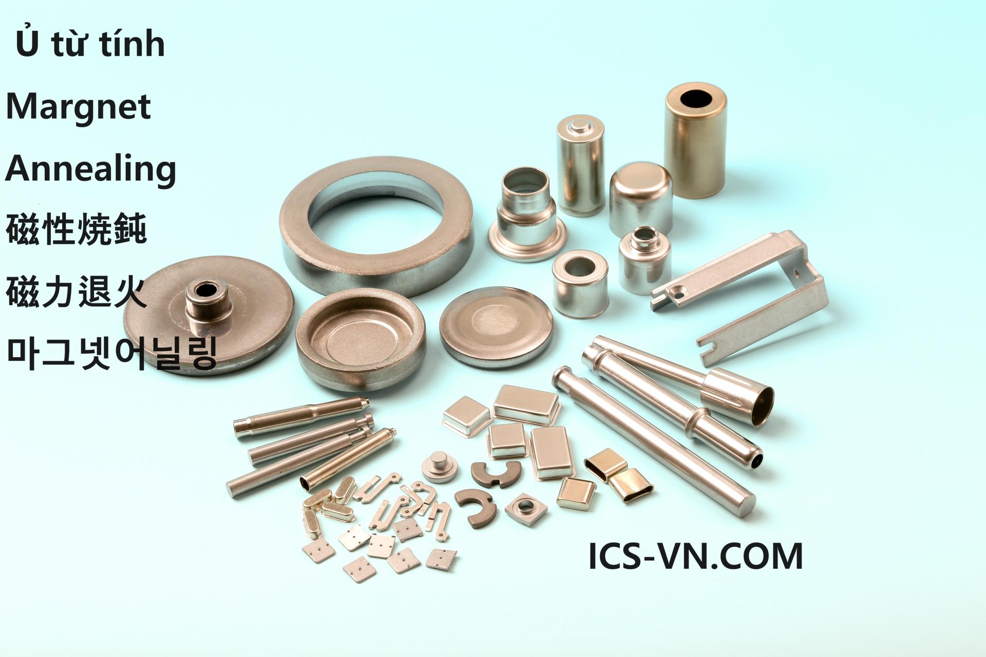 ics-vn.com